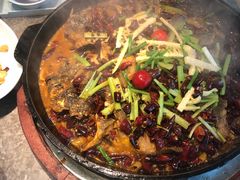 -老板恋上鱼(恒隆广场店)