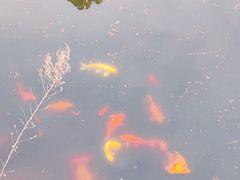 -北京凤凰岭