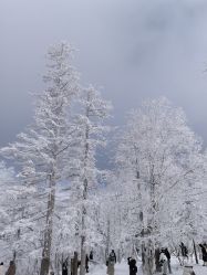 -大秃顶子山