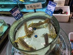 -强记海鲜·大排档(蛇口新街店)