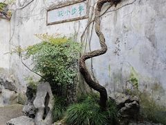 -留园