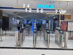 -大世界影城(无锡江南大悦城IMAX激光店)