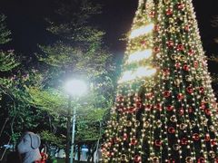 -广州塔晖粤轩中餐厅