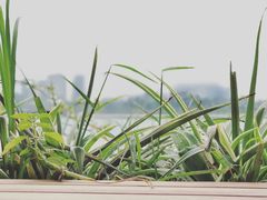 -星巴克(成都科学城店)