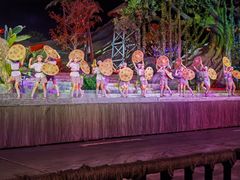 -三亚红色娘子军演艺公园景区