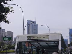 -大龙山(地铁站)