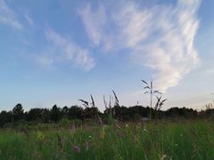 -木兰围场