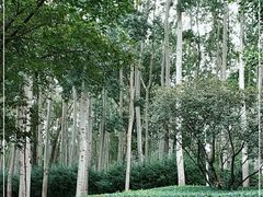 -仁和公园(顺义区)
