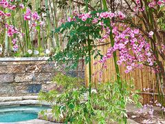 -西安华清御汤酒店