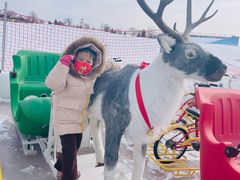-绿野森林乐园冰雪季