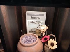 -雪灵魔法世界SHELLY’S TAROT(大良桂畔里店)