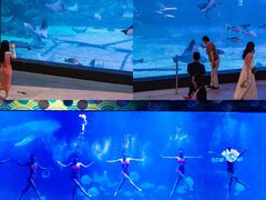 -烟台海昌鲸鲨海洋公园