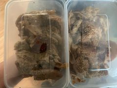 -老王豆皮