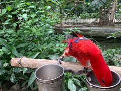 -南宫五洲植物乐园