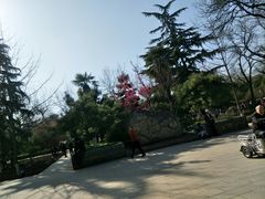 -莲湖公园