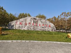 -上海海湾国家森林公园