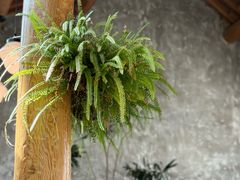 -METAL HANDS(五道营店)