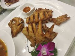 -金龙渔港(双楠店)