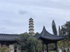 -江心屿景区