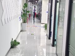 -新航道雅思托福·留学·考研培训(人民广场校区)