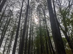 -苏州吴中太湖旅游区