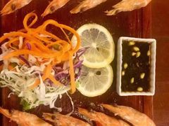 -茉莉.Red Crab