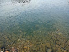 -宁波溪口古镇-民国大杂院