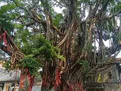 -烟桥私房菜馆(奋哥)