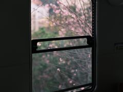 -小南山公园