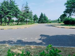 -小昆山驾校·基地自营(松江大学城实体店)