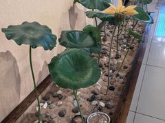 -素心斋素食餐厅