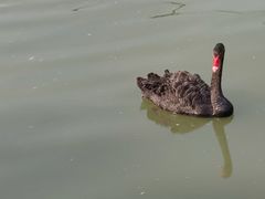 -昆山城市生态森林公园