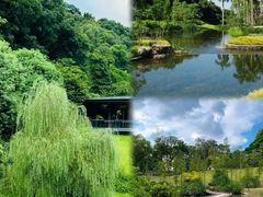 -云溪植物园