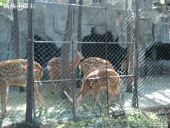 DSC00634-金庭庄园酒店彩虹厅