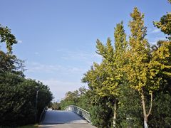 -贡湖湾湿地公园