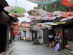 -天目湖山水园