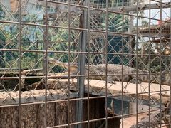 -呀路古热带植物园