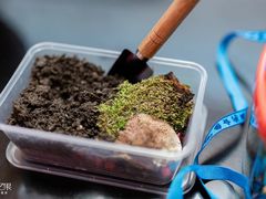 -甲乙果 美术书法(通州校区)