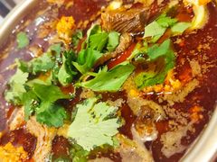 -伊兰麒兰馨园·川菜·清真馆(339电视塔店)