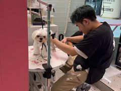 -FAELING PETS美天灵宠物(合生汇店)