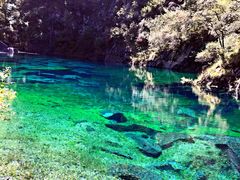 -叠溪松坪沟景区