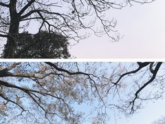-南浔古镇