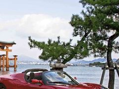 android_upload_pic-白玉兰商务酒店(沈阳陆军总院店)