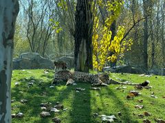 -北京野生动物园