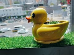 -小吊梨汤·北京菜·烤鸭(双井乐成中心店)