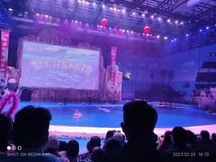 -华夏文旅海洋公园