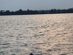 -丁香湖公园