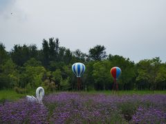 -武清南湖绿博园