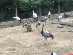 -哈尔滨北方森林动物园
