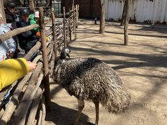 -银树楼(紫玉山庄东区店)